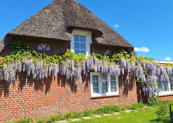 Unter Reet Apartamento Risum-Lindholm